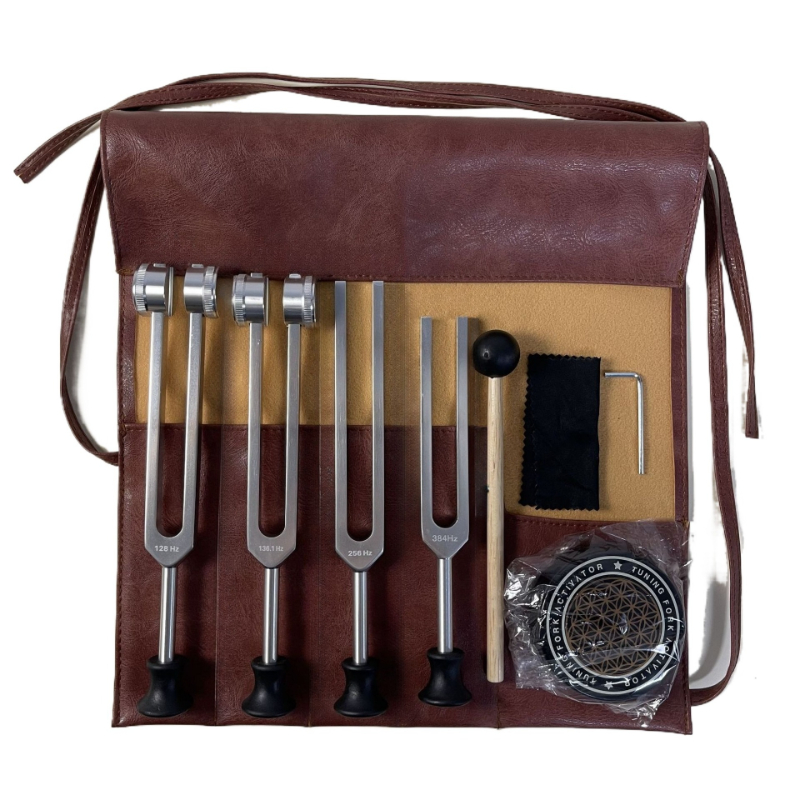 Set Garpu Tuning Medis untuk M - Musical Instrument Kit ulasan dan harga