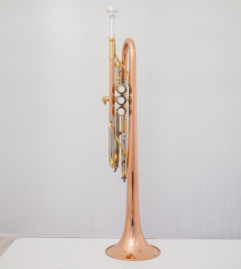 Instrumen Musik Terompet C Pro - Musical Instrument Fagot ulasan dan harga